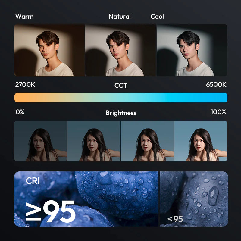 Ulanzi EC65 65W Portable Bi-Color LED Video Light