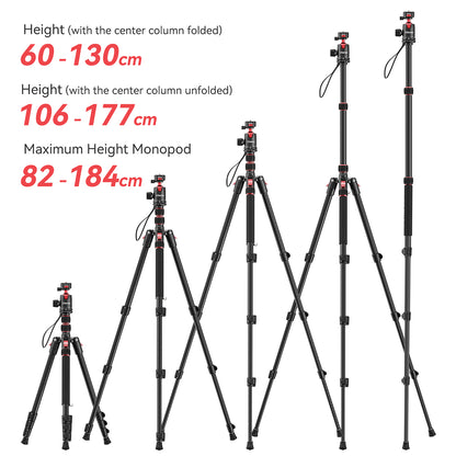Ulanzi TT31 Claw Quick Release Tripod & Monopod